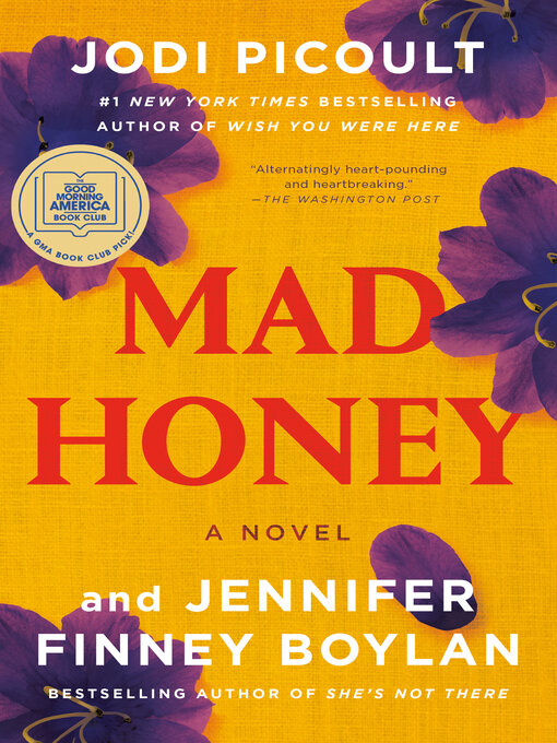 《疯狂的蜂蜜:一本小说》的封面图片